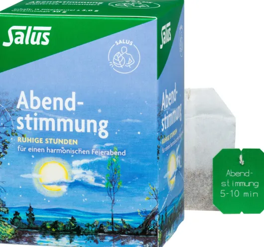 Abendstimmung Kräutertee Salus 15 Filterbeutel