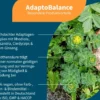 AdaptoBalance Kapseln 60 Stück