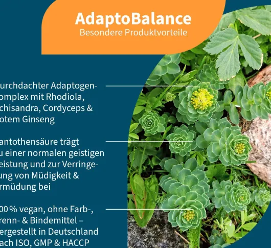 AdaptoBalance Kapseln 60 Stück