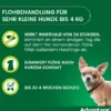 Advantage 40 Lösung für Hunde bis 4 kg 4 Einzeldosispipetten