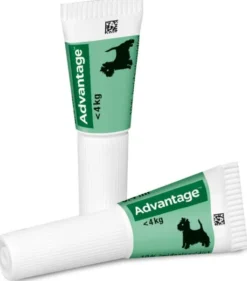 Advantage 40 Lösung für Hunde bis 4 kg 4 Einzeldosispipetten
