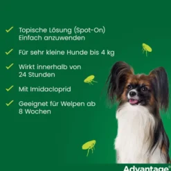 Advantage 40 Lösung für Hunde bis 4 kg 4 Einzeldosispipetten