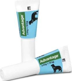 Advantage 100 Lösung für Hunde 4 - 10 kg 4 Einzeldosispipetten