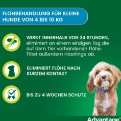 Advantage 100 Lösung für Hunde 4 - 10 kg 4 Einzeldosispipetten