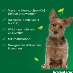 Advantage 100 Lösung für Hunde 4 - 10 kg 4 Einzeldosispipetten
