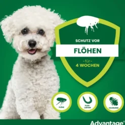 Advantage 100 Lösung für Hunde 4 - 10 kg 4 Einzeldosispipetten