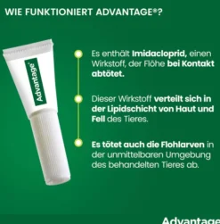 Advantage 400 Lösung Pipetten für Hunde ab 25 kg 4 Einzeldosispipetten