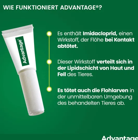 Advantage 400 Lösung Pipetten für Hunde ab 25 kg 4 Einzeldosispipetten