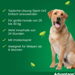 Advantage 400 Lösung Pipetten für Hunde ab 25 kg 4 Einzeldosispipetten