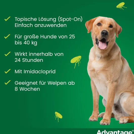 Advantage 400 Lösung Pipetten für Hunde ab 25 kg 4 Einzeldosispipetten