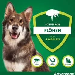Advantage 400 Lösung Pipetten für Hunde ab 25 kg 4 Einzeldosispipetten