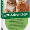 Advantage 80 mg für Katzen und Zierkaninchen über 4 kg 4 x 0,8 ml Lösung