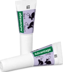 Advantage 80 mg für Katzen und Zierkaninchen über 4 kg 4 x 0,8 ml Lösung