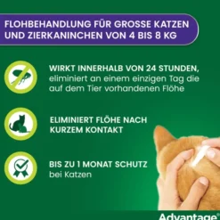 Advantage 80 mg für Katzen und Zierkaninchen über 4 kg 4 x 0,8 ml Lösung