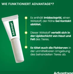 Advantage 80 mg für Katzen und Zierkaninchen über 4 kg 4 x 0,8 ml Lösung