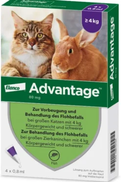 Advantage 80 mg für Katzen und Zierkaninchen über 4 kg 4 x 0,8 ml Lösung