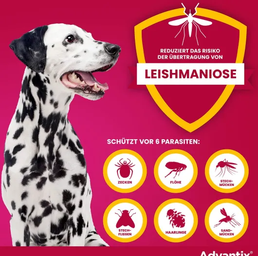 Advantix Spot-On Hund 10-25 kg 4 x 2,5 ml Lösung
