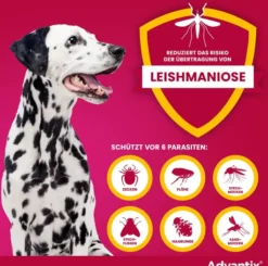 Advantix Spot-On Hund 25-40 kg 4 x 4 ml Lösung