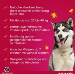 Advantix Spot-On Hund 25-40 kg 4 x 4 ml Lösung