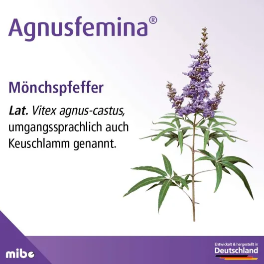 Agnusfemina 4 mg 100 Filmtabletten