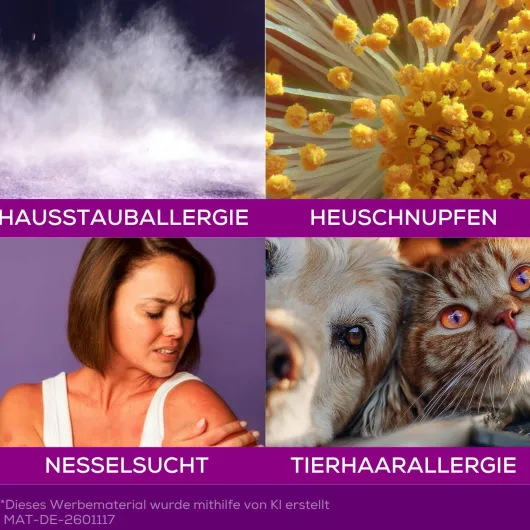 Allegra Allergietabletten Kinder 6 Schmelztabletten