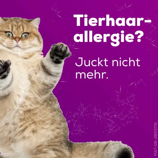 Allegra Allergietabletten 20 mg 100 Tabletten Dose