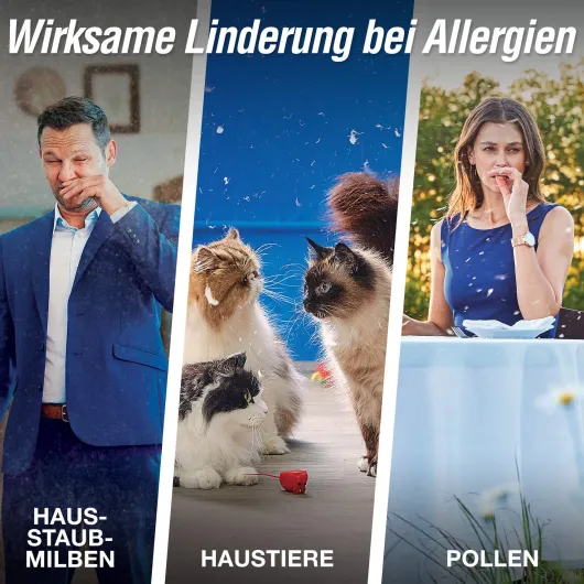 Allergodil Akut Nasenspray 5 ml