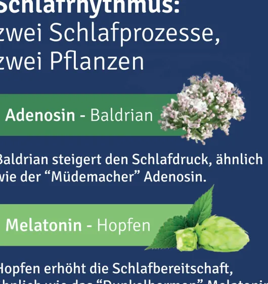 Alluna Schlaf Filmtabletten 20 Stück