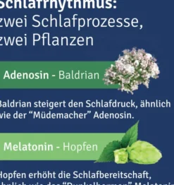 Alluna Schlaf Filmtabletten 60 Stück