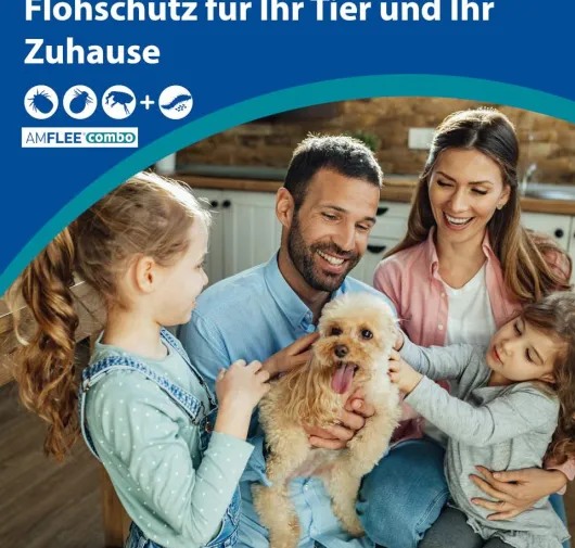 Amflee Combo 268 mg - 241,2 mg Spot-On Lösung Für Große Hunde 20...