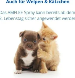 Amflee 2,5 mg Je ml Spray Für Katzen und Hunde 100 ml