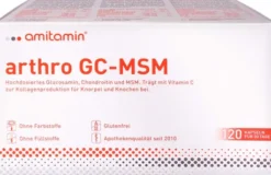 Amitamin Arthro Gc-Msm 120 Kapseln