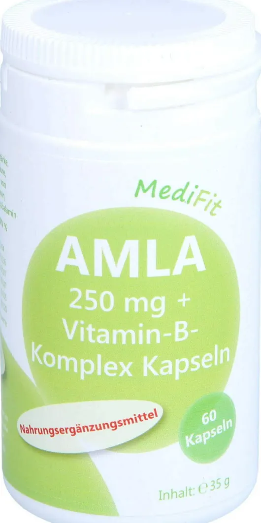 Amla 250 Mg+vitamin B Komplex Kapseln Medifit 60 Stück