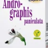 Andrographis Paniculata 60 Kapseln