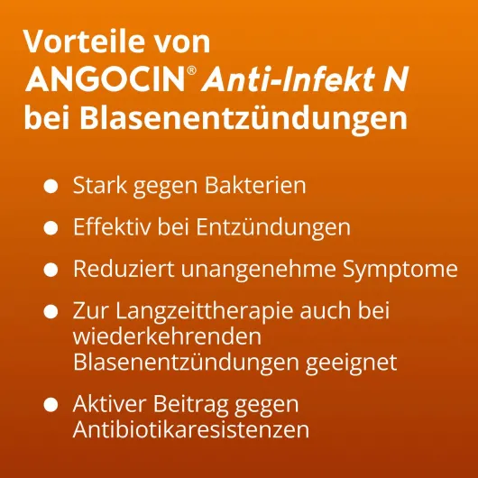 Angocin Anti Infekt N 500 Filmtabletten