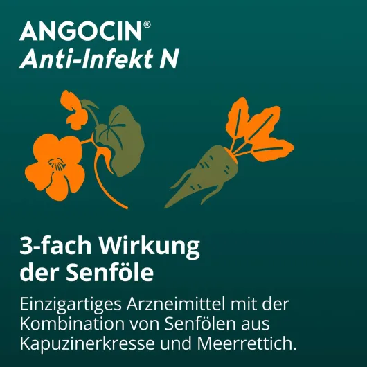Angocin Anti Infekt N 500 Filmtabletten
