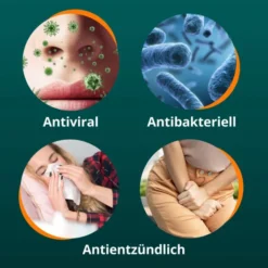 Angocin Anti Infekt N 500 Filmtabletten