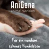 AniCozy Vitamin Ergänzungsfuttermittel für Hunde 300 g