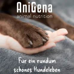 AniFlora Balance Flohsamenschalen + Ballaststoff für Hunde 60 g Pulver