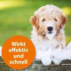 Ardap Anti-Zecken Hundeshampoo 250 ml