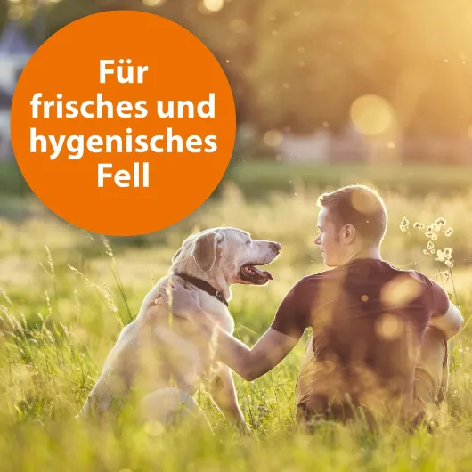 Ardap Anti-Zecken Hundeshampoo 250 ml