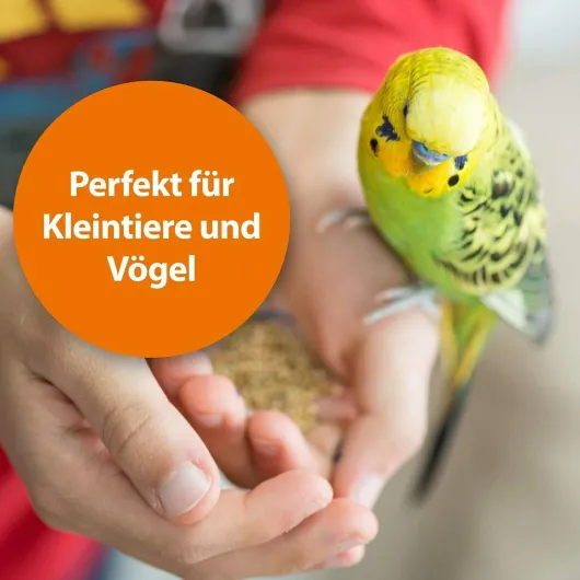 Ardap Milben-Und Zeckenspray Für Kleintiere und Vögel 100 ml
