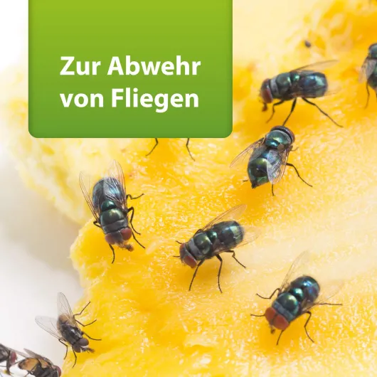 Ardap Repell Fliegenspray 400 ml
