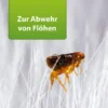 Ardap Repell Flohspray 400 ml