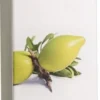 Arganöl Bio 100 ml Öl