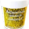 Artemisia Annua Beifuss 90 Kapseln