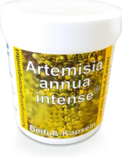 Artemisia Annua Beifuss 90 Kapseln