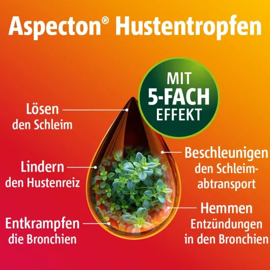 Aspecton Hustentropfen 30 ml Tropfen
