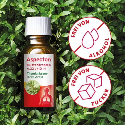 Aspecton Hustentropfen 50 ml Tropfen