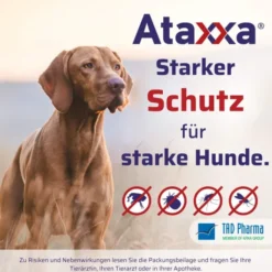 Ataxxa 1250 mg-250 mg Lösung zum Auftropfen für Hunde von 10-25 kg 3 Pipetten